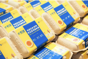 Yellow Swan Secures Record ¥600 Million  Series C Funding(图1)